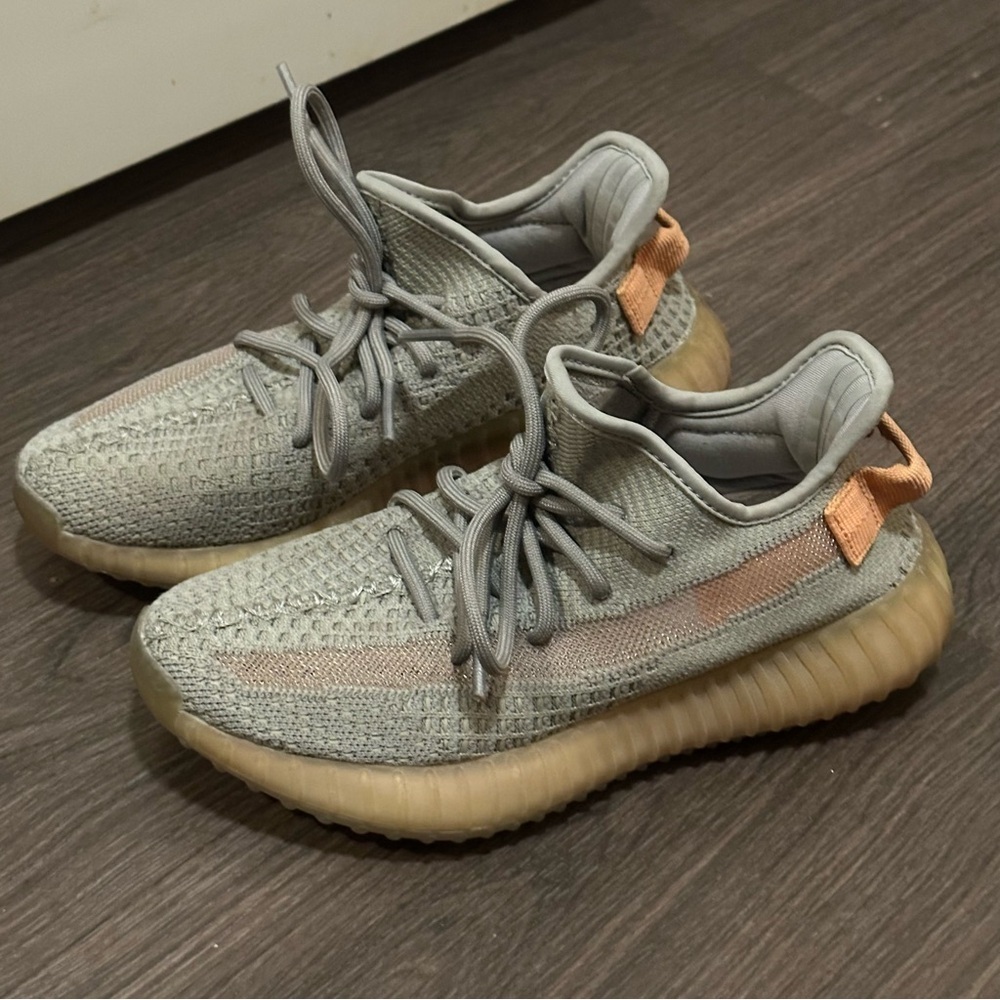 Adidas Yeezy Boost 350 V2 True Form